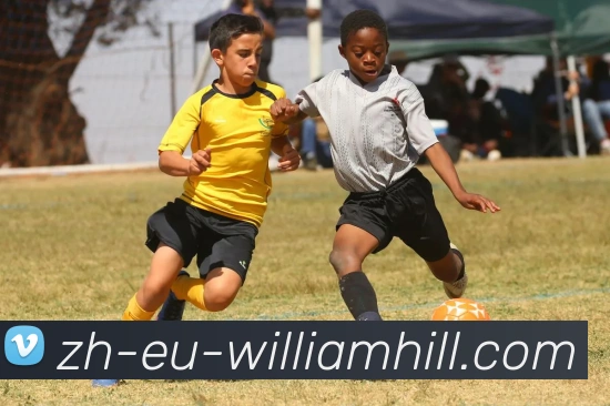 多媒体互动体验